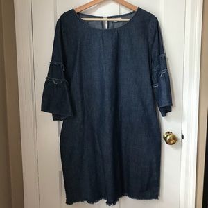 Denim Ruffle Sleeve Dress